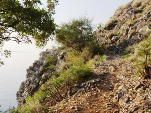 Almashieferkr33