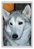 GardaWuff6
