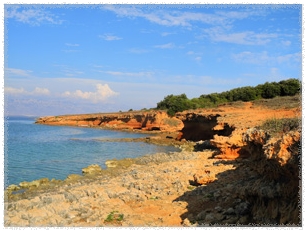 KrVir1