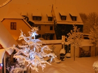 Almashiefergar14